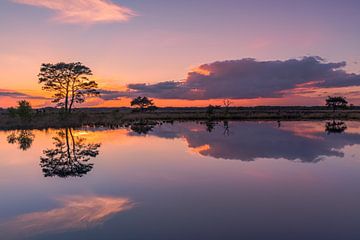 Sonnenuntergang in Holtveen, im Nationalpark Dwingelderveld