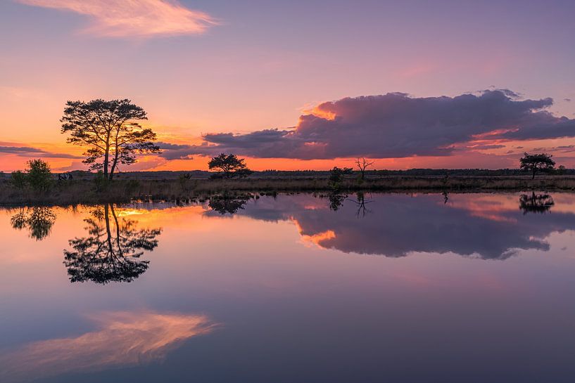 Coucher de soleil à Holtveen, dans le parc national du Dwingelderveld par Henk Meijer Photography