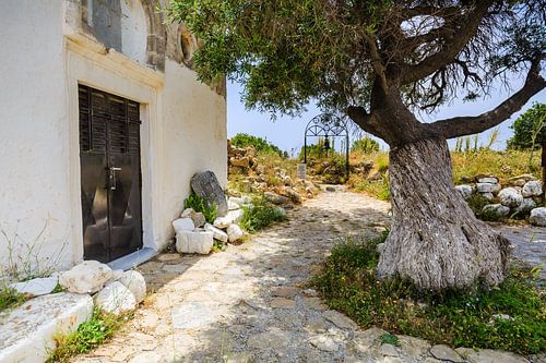 Kapel met oude olijfboom