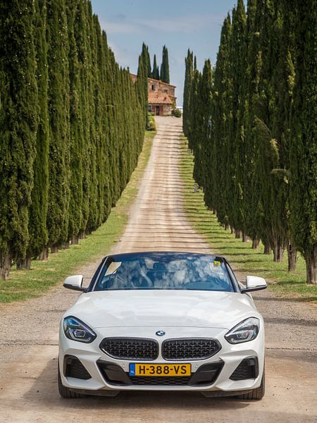 BMW Z4 van Menno Schaefer