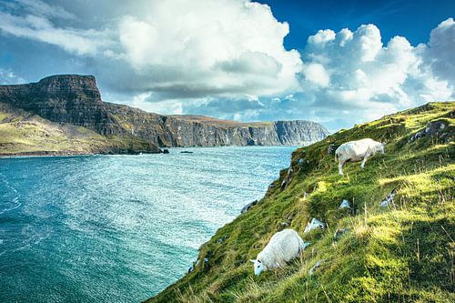 De prachtige natuur in Schotland. Eenzame kliffen in het panorama