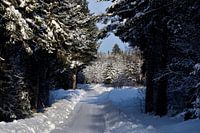 De weg