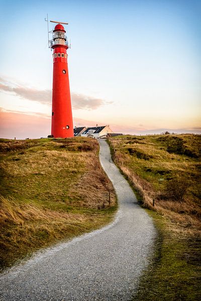 Pfad, der zu einen roten Leuchtturm in den Dünen führt von Sjoerd van der Wal Fotografie