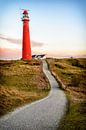 Pfad, der zu einen roten Leuchtturm in den Dünen führt von Sjoerd van der Wal Fotografie Miniaturansicht