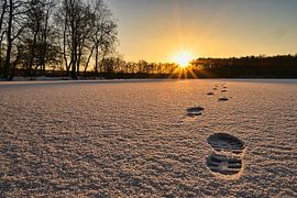 Sporen in de sneeuw van Christian Kessler