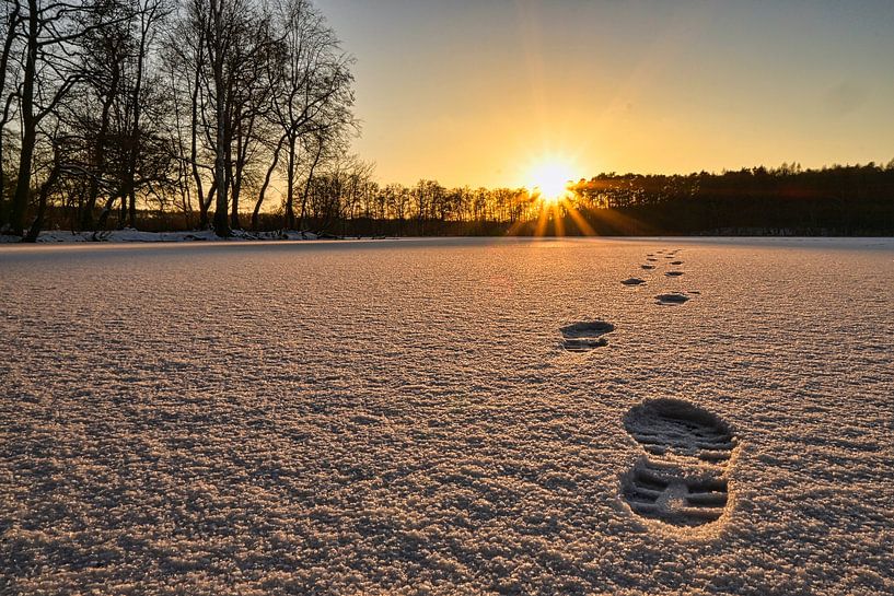 Tracks in the snow by Christian Kessler