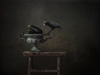 Crow on cast iron pot