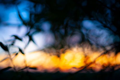 The warmth of twilight