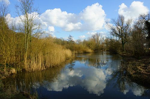 Hollandse lucht bij de Kralingse Plas 