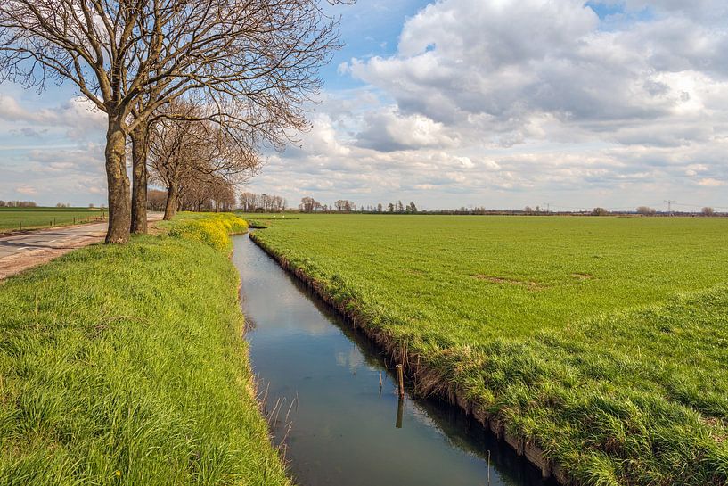 Typische niederländische Polderlandschaft im zeitigen Frühjahr von Ruud Morijn
