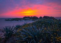 Sunset Conil de la Frontera