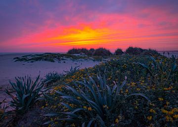 Zonsondergang Conil de la Frontera van Willemijn Wolthaus