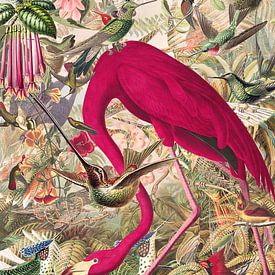 You can never have enough birds by Jadzia Klimkiewicz