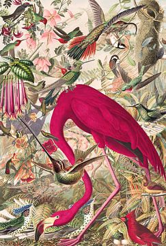 You can never have enough birds by Jadzia Klimkiewicz