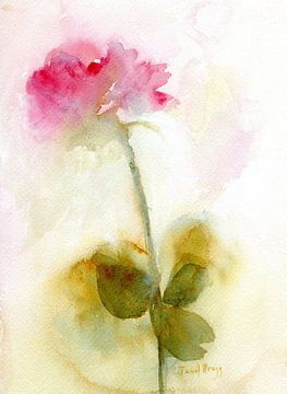 Rose Reverie by Janel Bragg