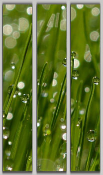 gras met dauwdruppels 3 deel