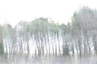 Coastal forest by Uwe Merkel thumbnail