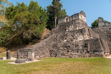Guatemala: Tikal (Yax Mutal) sur Maarten Verhees