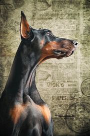 Doberman sur Markus Bieck