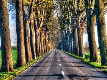 Polsum Bertlicher Strasse