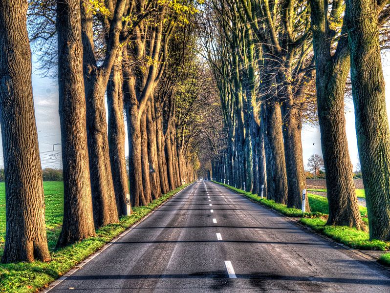 Polsum Bertlicher Strasse par Edgar Schermaul