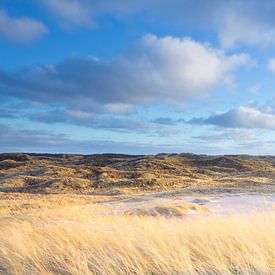 Paysage de dunes - Jutland, Danemark sur Bas Meelker