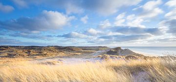 Paysage de dunes - Jutland, Danemark sur Bas Meelker