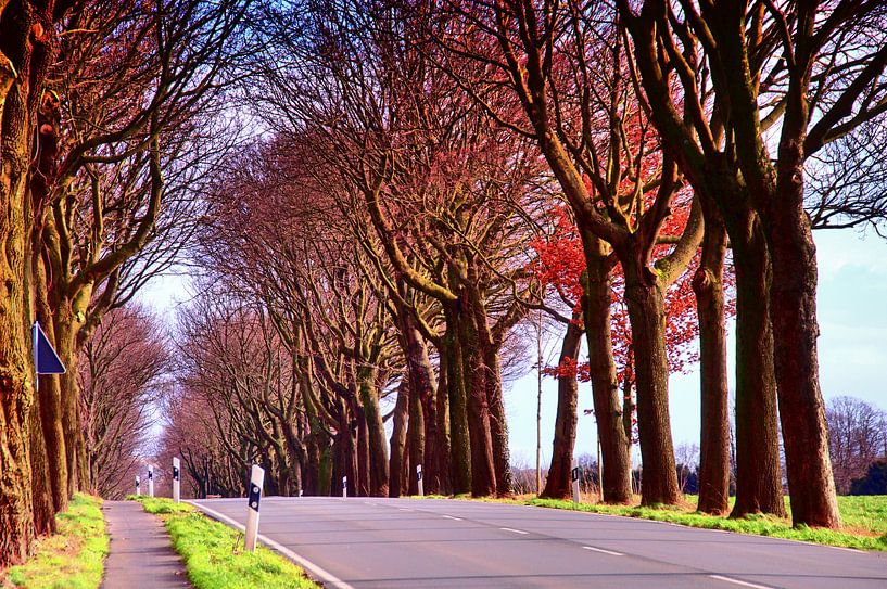 Autovrij van Edgar Schermaul