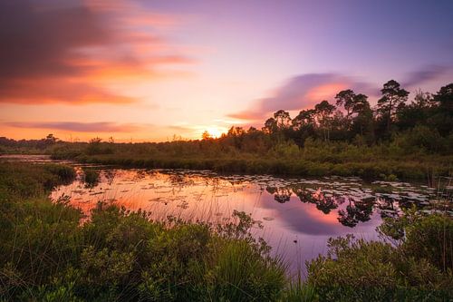 Sommer Sonnenuntergang
