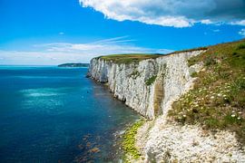 Chalk cliffs at Birling Gap, Sussex
