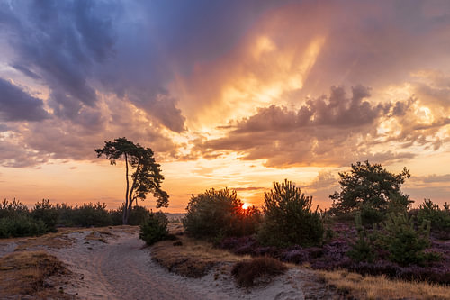 Farbenprächtiger Sonnenaufgang in Aekingerzand