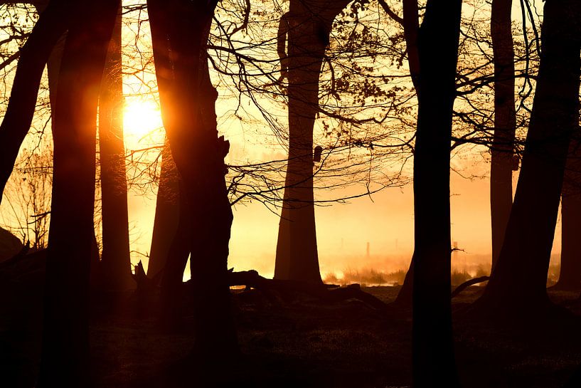 Mystische momente by Lars Tuchel