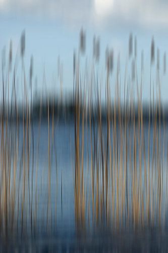 Mijmeren aan de waterkant