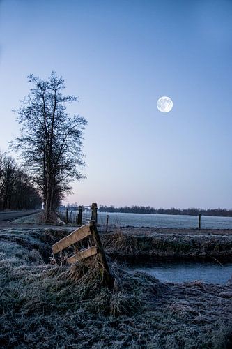 Het blauwe uur in de ochtend