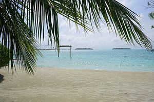 Blick auf den Weststrand