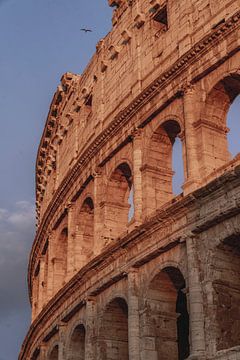 Echoes's of the Empire - The Colosseum in Evening Light by Femke Ketelaar