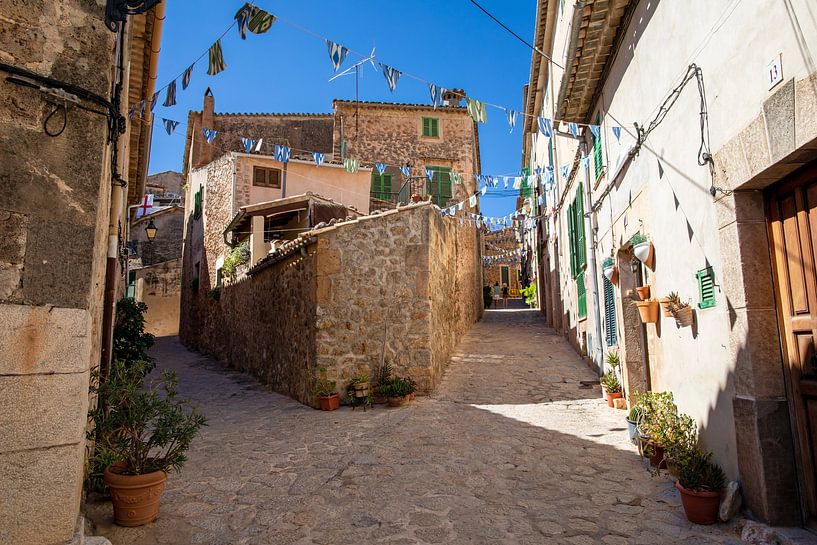 Mallorca - Valldemossa van t.ART