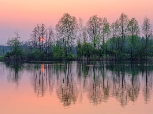 Het Hoge Venne, Heelweg