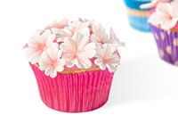 Delicious cupcakes