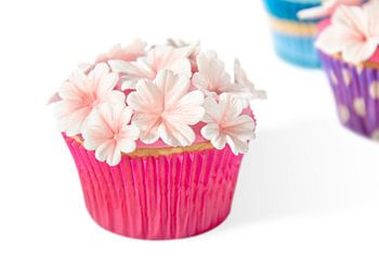 Delicious cupcakes