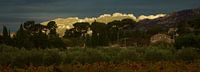 Dentelles de Montmirail Vaucluse