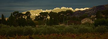 Dentelles de Montmirail Vaucluse by Monki's foto shop