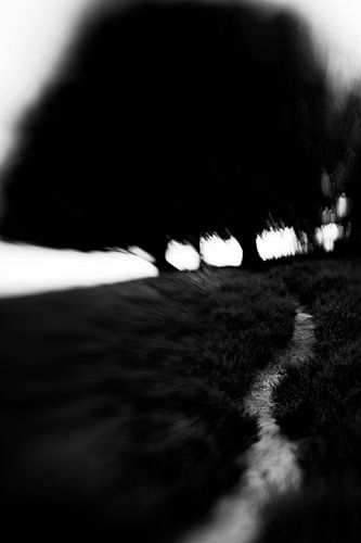 Dare to follow her there?