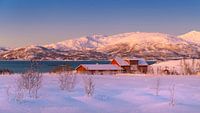 Boerderij in Winter, Noorwegen van Adelheid Smitt thumbnail