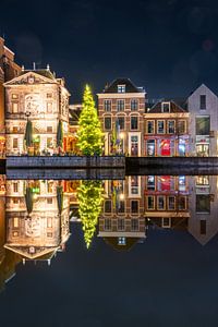 Arbre de Noël sur l'Aalmarkt à Leiden (0190).