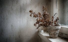 Dry by Photography by J