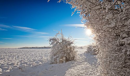 Winterlandschap