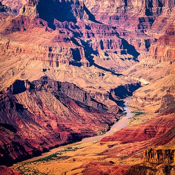 Natural Wonder Gorge en Colorado River Grand Canyon National Park in Arizona USA van Dieter Walther