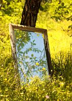 Mirror in a field of flowers on a tree