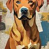 Labrador Retriever Papier Collage von MIROKKU